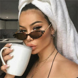 New Small Cat Eye Sunglasses