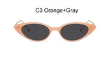 New Small Cat Eye Sunglasses