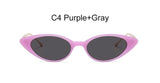 New Small Cat Eye Sunglasses