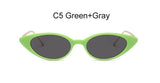 New Small Cat Eye Sunglasses