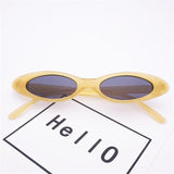 Small Oval Sunglasses