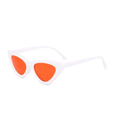Fashion Cat Eye Sunglasses