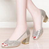 Net High Heels Shoes