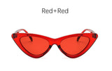 Cat Eye Shade Fashion Sunglasses