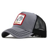 Fashion Transparentr Baseball Cap