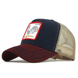 Fashion Transparentr Baseball Cap
