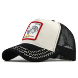 Fashion Transparentr Baseball Cap