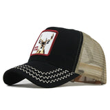 Fashion Transparentr Baseball Cap
