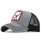 Fashion Transparentr Baseball Cap