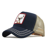 Fashion Transparentr Baseball Cap