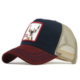 Fashion Transparentr Baseball Cap