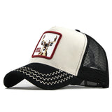 Fashion Transparentr Baseball Cap