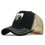 Fashion Transparentr Baseball Cap