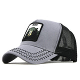 Fashion Transparentr Baseball Cap