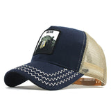 Fashion Transparentr Baseball Cap