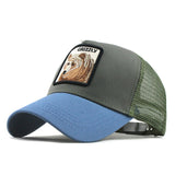 Fashion Transparentr Baseball Cap