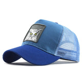 Fashion Transparentr Baseball Cap