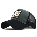 Fashion Transparentr Baseball Cap