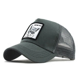 Fashion Transparentr Baseball Cap