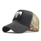 Fashion Transparentr Baseball Cap