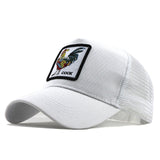 Fashion Transparentr Baseball Cap