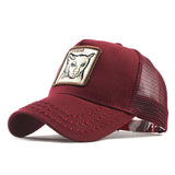 Fashion Transparentr Baseball Cap