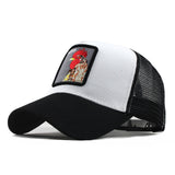 Fashion Transparentr Baseball Cap