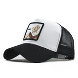 Fashion Transparentr Baseball Cap