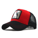 Fashion Transparentr Baseball Cap