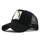 Fashion Transparentr Baseball Cap
