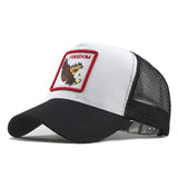 Fashion Transparentr Baseball Cap