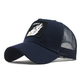 Fashion Transparentr Baseball Cap
