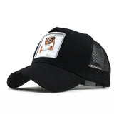 Fashion Transparentr Baseball Cap